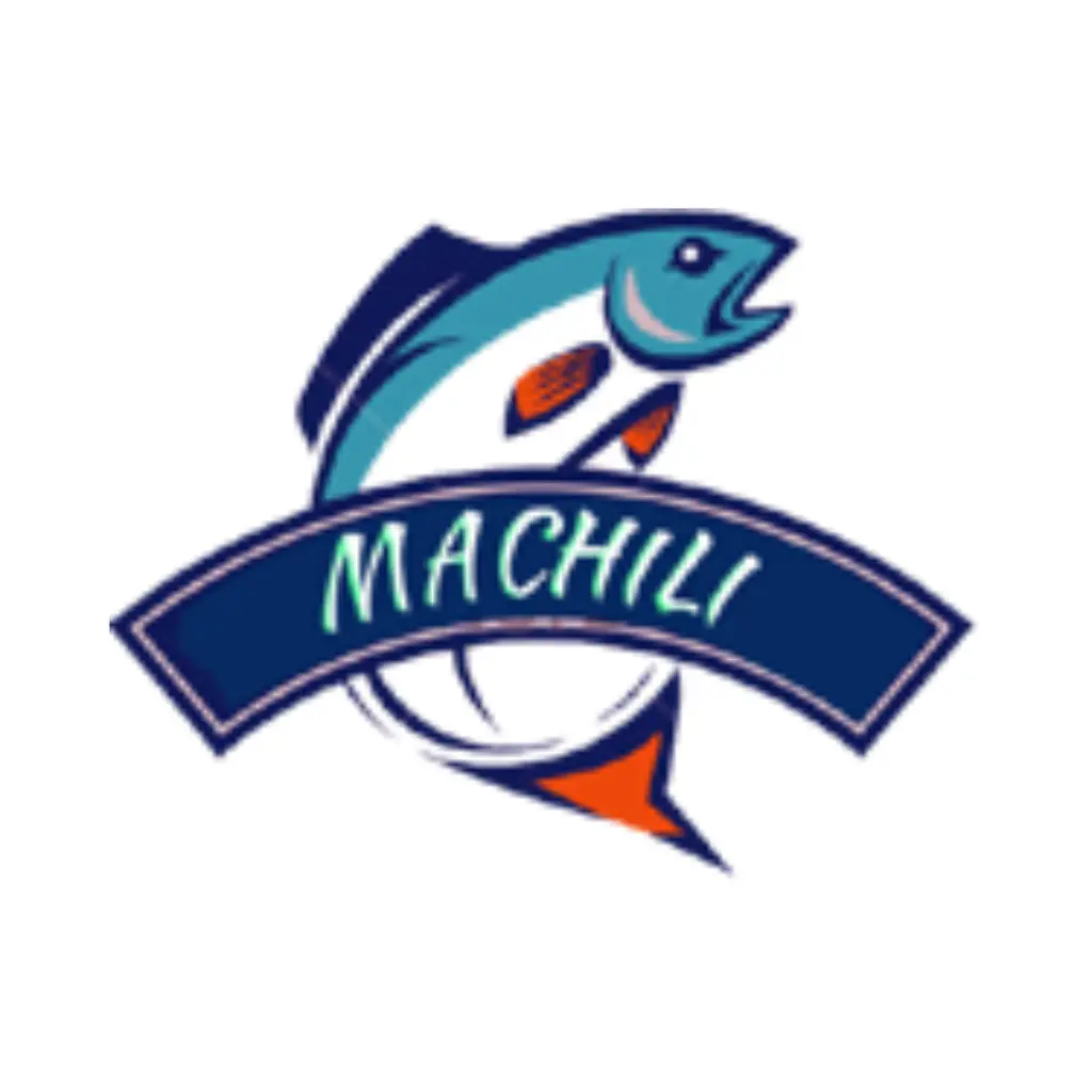 machili.com logo dp